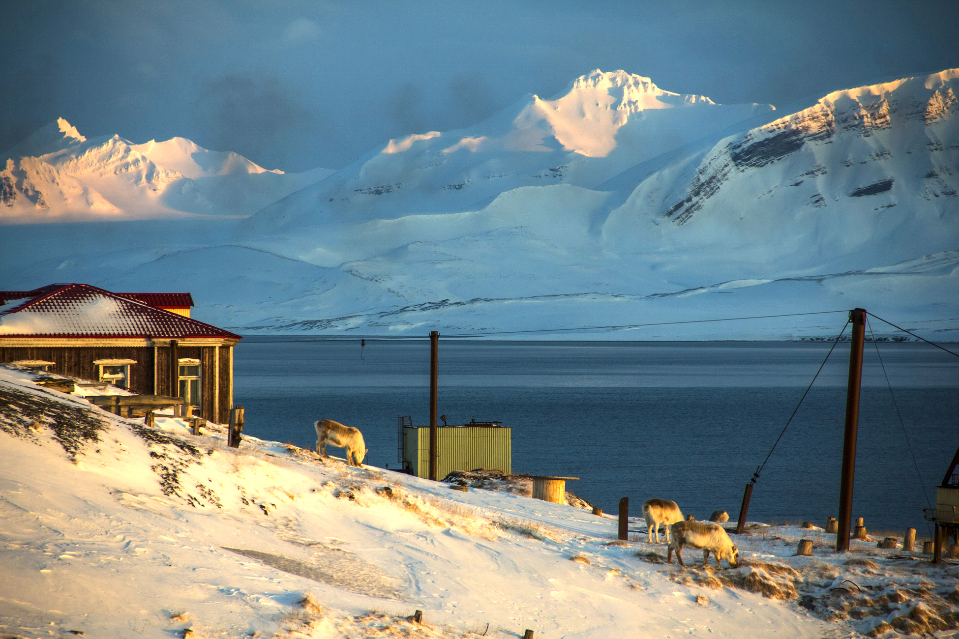 С ноября 2023 года начала работать льготная программа жилищного кредитования «Арктическая ипотека»