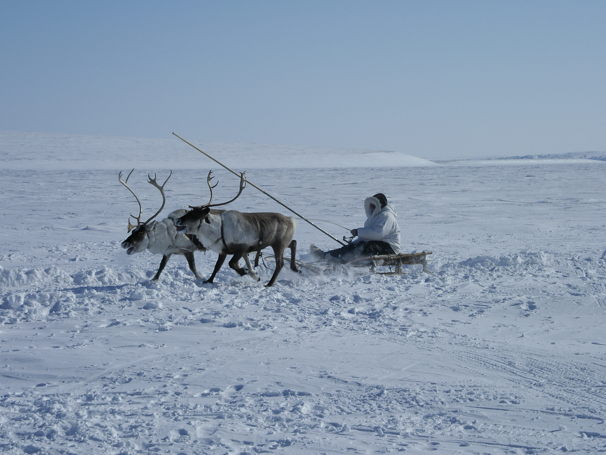 Эксперты обсудили роль коренных народов в развитии российской Арктики
